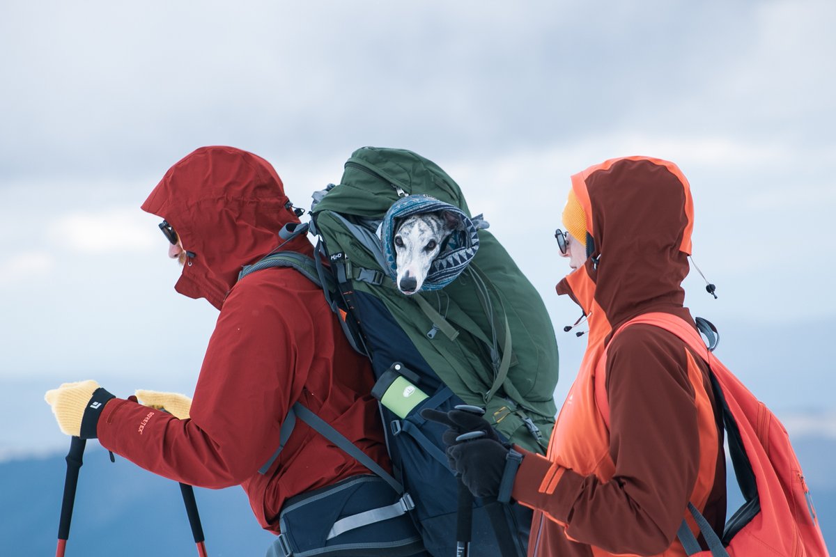 Paul&Jet tweet media