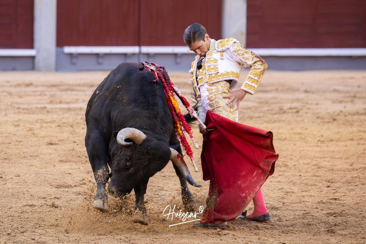 La vida regala poco, únicamente el esfuerzo y la dedicación darán buenos resultados