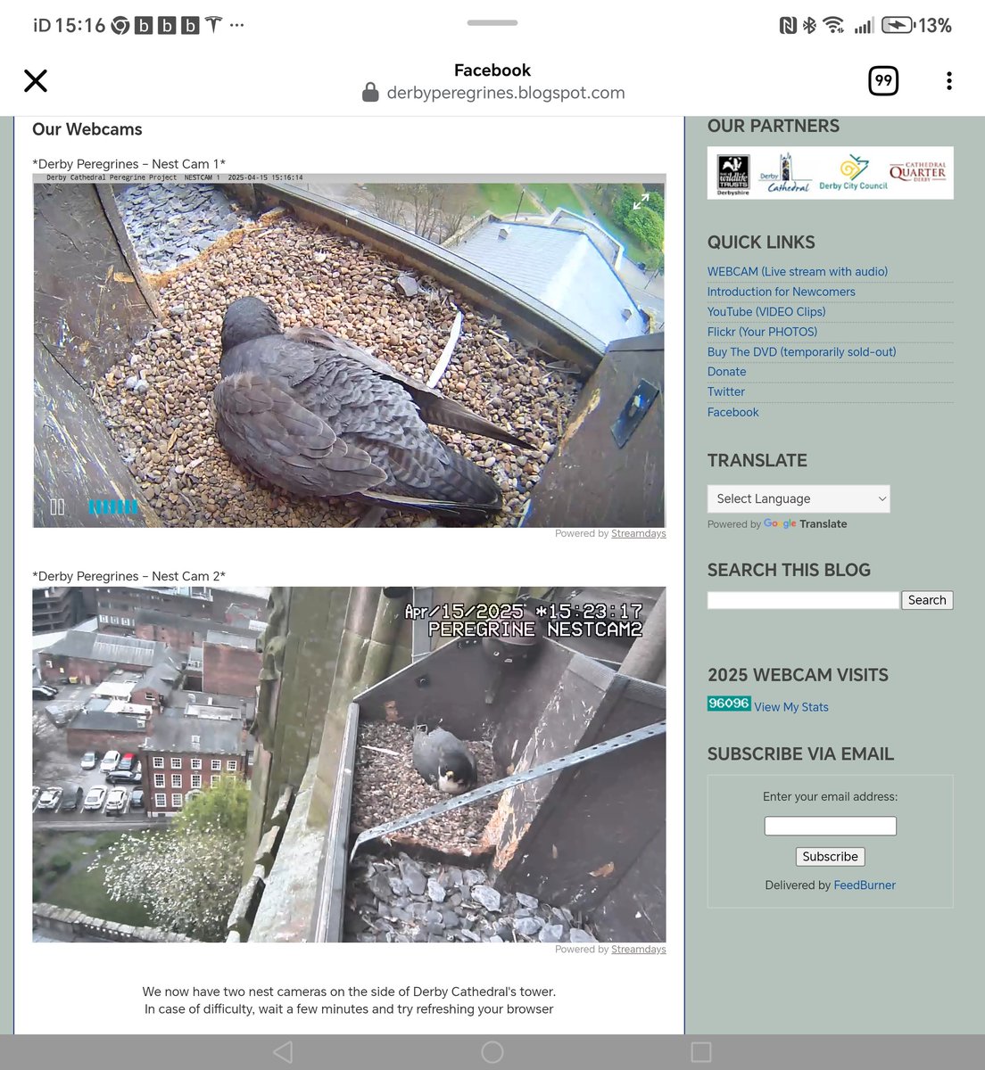 Lovi g the feed at <a href="/derbyperegrines/">Derby Peregrines</a> well worth a follow as the eggs should be hatching any day soon!