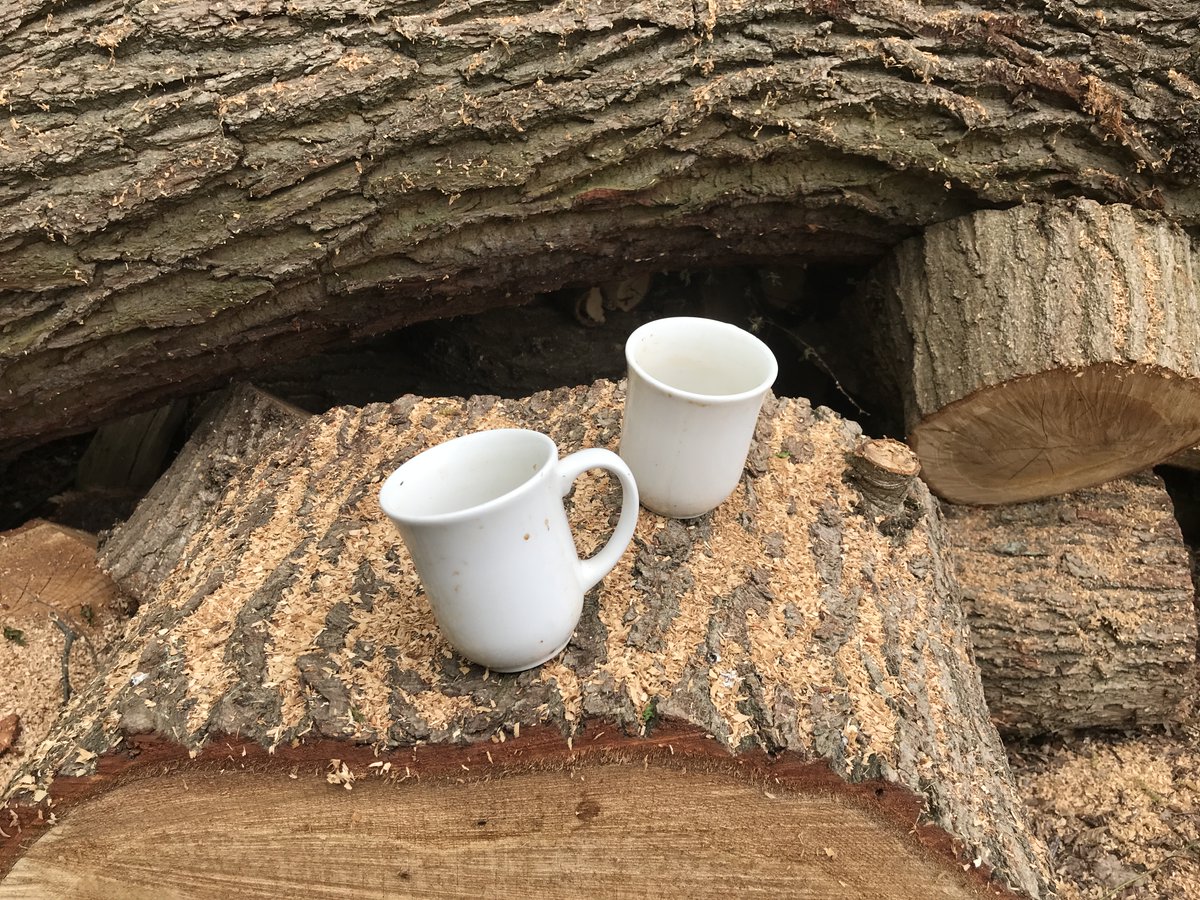 russell miller (@treeruss) on Twitter photo UPDATE on #WhitewebbsOakMassacre 1/4
I inspected the tree yesterday afternoon. Mugs (with coffee/tea stains), know to have been there since the tree operations, were still on site. I messaged <a href="/EnfieldCouncil/">Enfield Council</a> and <a href="/metpoliceuk/">Metropolitan Police</a> to ask that they be collected and secured as evidence. UPDATE on #WhitewebbsOakMassacre 1/4
I inspected the tree yesterday afternoon. Mugs (with coffee/tea stains), know to have been there since the tree operations, were still on site. I messaged <a href="/EnfieldCouncil/">Enfield Council</a> and <a href="/metpoliceuk/">Metropolitan Police</a> to ask that they be collected and secured as evidence.
