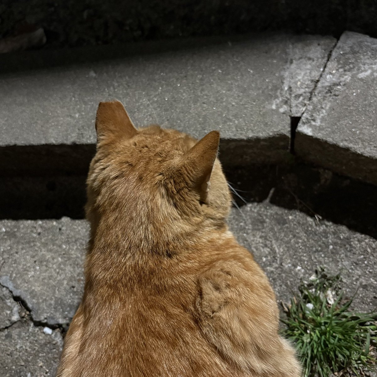 요새 다시 시집 준비중~..이에요