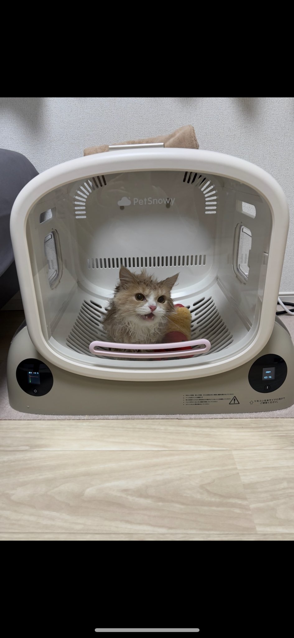 PetSnowy | ペット用品😺🐶 (@PetsnowyJapan) / X PetSnowy | ペット用品😺🐶 (@PetsnowyJapan) / X