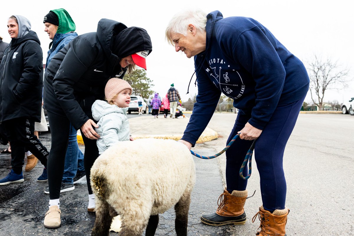 Went for the Plunge. Got distracted by the lamb.