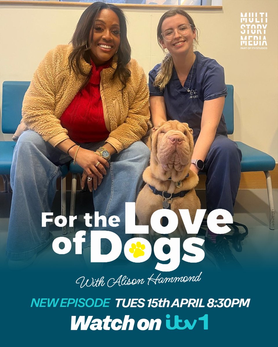 For the Love of Dogs (@itvflod) on Twitter photo 💙🐶 For The Love of Dogs is back! Alison Hammond returns to Battersea for another season filled with heartwarming stories.
➡️ In todays episode, Alison meets an over-friendly golden retriever🥰, falls head over heels for a lurcher with a big heart ❤️, and puts a pair of portly 💙🐶 For The Love of Dogs is back! Alison Hammond returns to Battersea for another season filled with heartwarming stories.
➡️ In todays episode, Alison meets an over-friendly golden retriever🥰, falls head over heels for a lurcher with a big heart ❤️, and puts a pair of portly