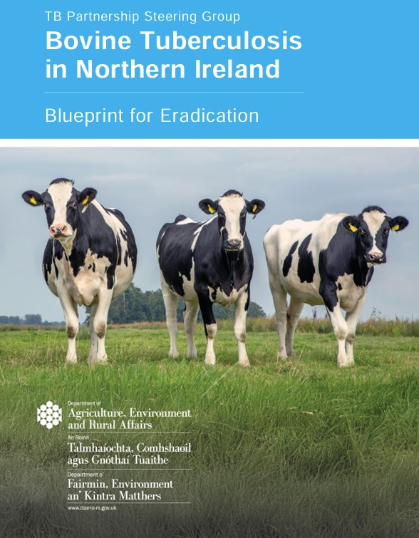 DAERA (@daera_ni) on Twitter photo DAERA Minister <a href="/AndrewMuirNI/">Andrew Muir MLA</a> has published the TB Partnership Steering Groupās Blueprint for Bovine TB Eradication in Northern Ireland. More info: daera-ni.gov.uk/news/blueprint⦠<a href="/UlsterWildlife/">Ulster Wildlife</a> <a href="/infoVetNI/">VetNI</a> <a href="/NiVetSpecialist/">Northern Ireland Veterinary Specialists</a> <a href="/AVSPNIPresident/">AVSPNIPres</a> <a href="/EnvironmentNI/">NI Environment Link</a> <a href="/publichealthni/">Public Health Agency</a> <a href="/animalhealthni/">Animal Health NI</a> DAERA Minister <a href="/AndrewMuirNI/">Andrew Muir MLA</a> has published the TB Partnership Steering Groupās Blueprint for Bovine TB Eradication in Northern Ireland. More info: daera-ni.gov.uk/news/blueprint⦠<a href="/UlsterWildlife/">Ulster Wildlife</a> <a href="/infoVetNI/">VetNI</a> <a href="/NiVetSpecialist/">Northern Ireland Veterinary Specialists</a> <a href="/AVSPNIPresident/">AVSPNIPres</a> <a href="/EnvironmentNI/">NI Environment Link</a> <a href="/publichealthni/">Public Health Agency</a> <a href="/animalhealthni/">Animal Health NI</a>