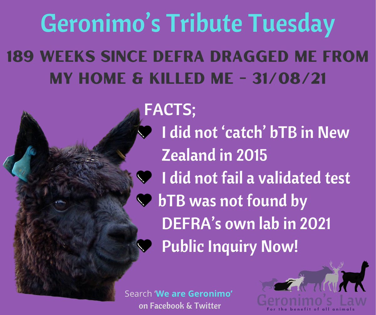 WeAreGeronimo (@geronimos_law) on Twitter photo <a href="/UKLabour/">The Labour Party</a> <a href="/ChiefVetUK/">Christine Middlemiss ๐บ๐ฆ</a> <a href="/RichardHRBenyon/">Richard Benyon</a> <a href="/Mark_Spencer/">Sir Mark Spencer</a> <a href="/Keir_Starmer/">Keir Starmer</a> <a href="/timfarron/">Tim Farron</a> <a href="/DanielZeichner/">Daniel Zeichner</a> <a href="/TamFinkelstein/">Tamara Finkelstein</a> <a href="/DefraChiefScien/">Defra Chief Scientist</a> @commonsEFRA <a href="/RCVSpresident/">Linda Belton</a> <a href="/theRCVS/">Royal College of Veterinary Surgeons</a> <a href="/BritishVets/">BritishVets</a> <a href="/SteveReedMP/">Steve Reed MP</a> <a href="/AngelaRayner/">Angela Rayner</a> <a href="/SueHayman1/">Sue Hayman</a> <a href="/LabourTogether/">Labour Together</a> <a href="/MaryCreagh_/">Mary Creagh CBE MP</a> <a href="/GovernmentVets/">Government Vets UK</a> <a href="/PHSOmbudsman/">Parliamentary and Health Service Ombudsman</a> <a href="/UKLabour/">The Labour Party</a> <a href="/ChiefVetUK/">Christine Middlemiss ๐บ๐ฆ</a> <a href="/RichardHRBenyon/">Richard Benyon</a> <a href="/Mark_Spencer/">Sir Mark Spencer</a> <a href="/Keir_Starmer/">Keir Starmer</a> <a href="/timfarron/">Tim Farron</a> <a href="/DanielZeichner/">Daniel Zeichner</a> <a href="/TamFinkelstein/">Tamara Finkelstein</a> <a href="/DefraChiefScien/">Defra Chief Scientist</a> @commonsEFRA <a href="/RCVSpresident/">Linda Belton</a> <a href="/theRCVS/">Royal College of Veterinary Surgeons</a> <a href="/BritishVets/">BritishVets</a> <a href="/SteveReedMP/">Steve Reed MP</a> <a href="/AngelaRayner/">Angela Rayner</a> <a href="/SueHayman1/">Sue Hayman</a> <a href="/LabourTogether/">Labour Together</a> <a href="/MaryCreagh_/">Mary Creagh CBE MP</a> <a href="/GovernmentVets/">Government Vets UK</a> <a href="/PHSOmbudsman/">Parliamentary and Health Service Ombudsman</a>