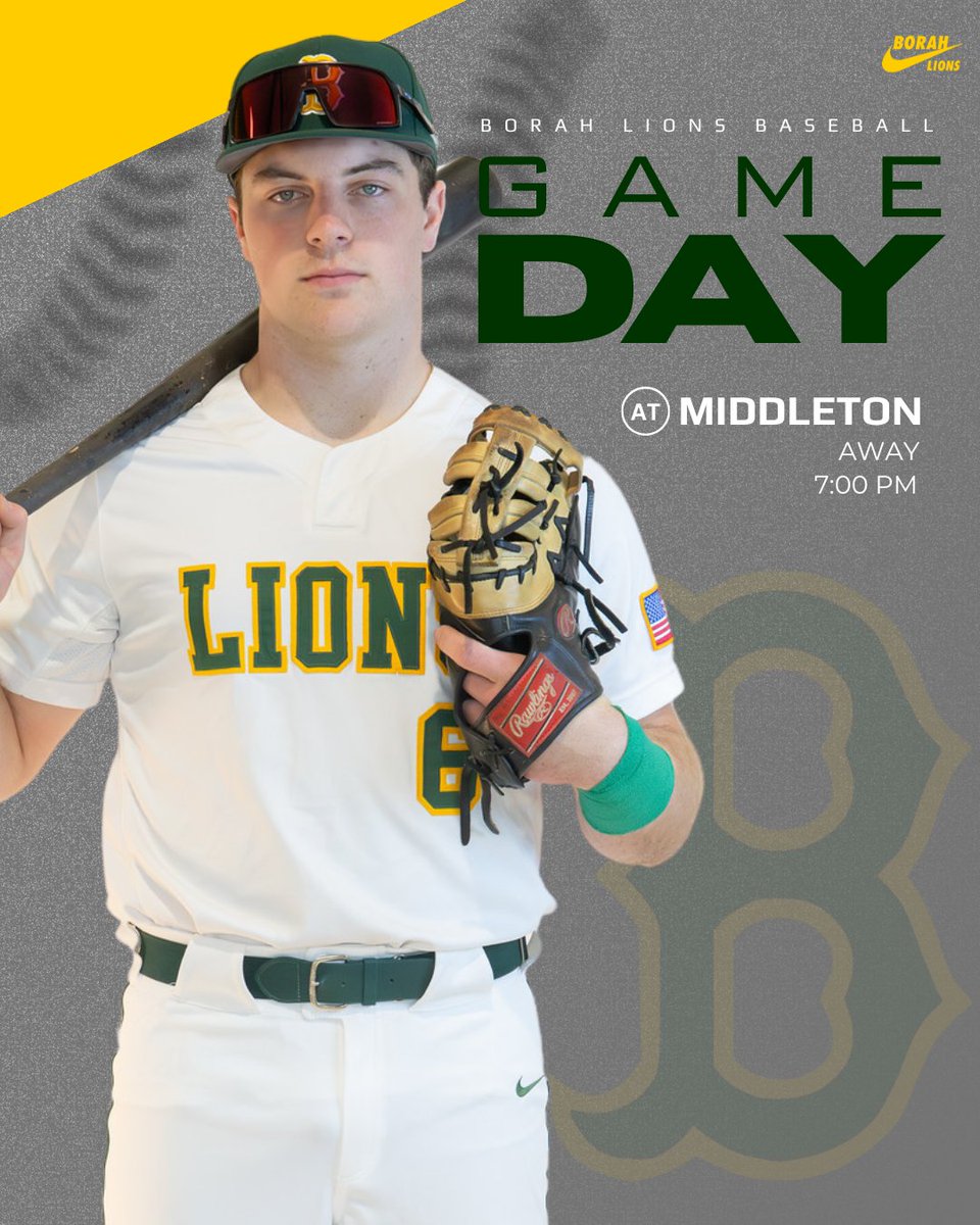 Borah Baseball tweet media