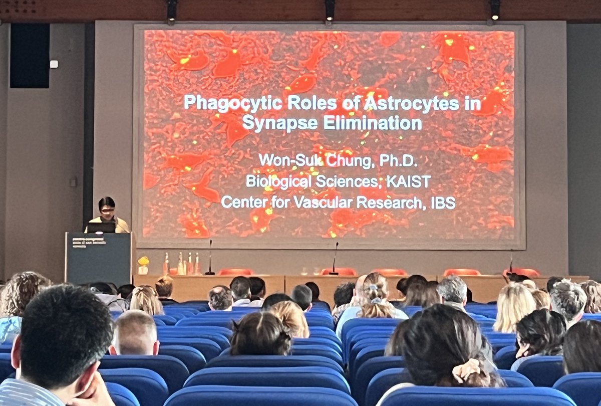 Synapse Biology Group | NCBio ERA Chair @i3S_Porto (@astrocytesrus) on Twitter photo Excited to hear the latest work of <a href="/wonsukchung/">Won-Suk Chung</a> from KAIST, South Korea and co-organizer of the #EMBOastrocytes workshop! Excited to hear the latest work of <a href="/wonsukchung/">Won-Suk Chung</a> from KAIST, South Korea and co-organizer of the #EMBOastrocytes workshop!