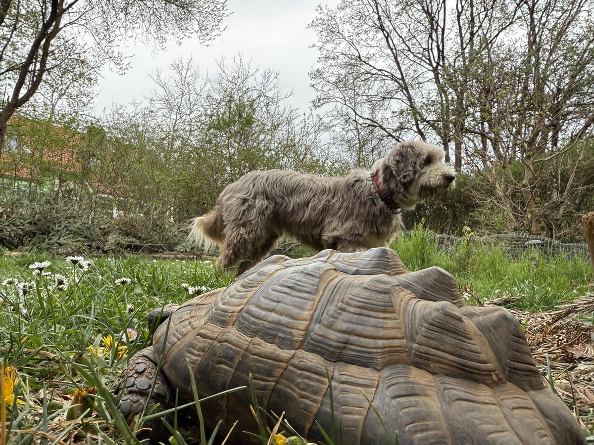 Hatte heute Nachmittag mit einem sogenannten HaxnStein zu tun 😃
