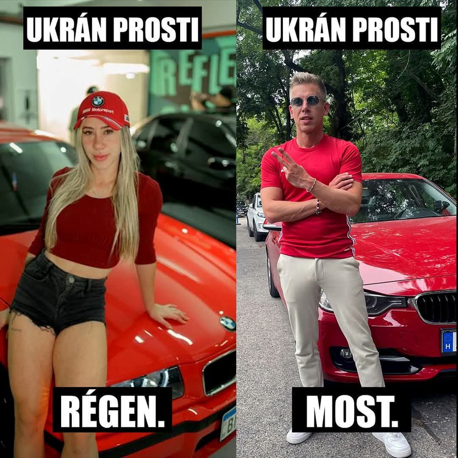 Kép