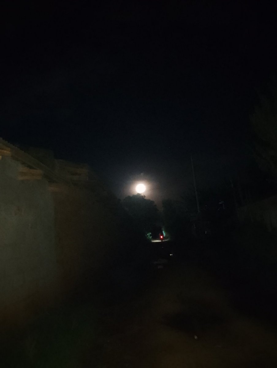 RobinsonDolla's tweet image. Evening Views.
