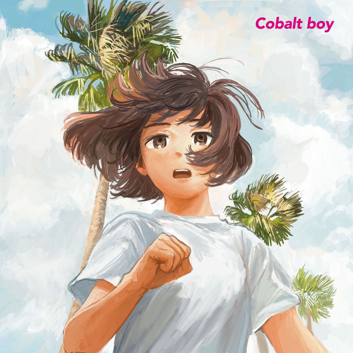 COBALT BOY SANSO アナログレコード コバルトボーイ サンソ COBALT BOY SANSO アナログレコード コバルトボーイ サンソ