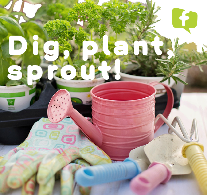 aac_forbes's tweet photo. Celebrate spring with this fun, hands-on therapy activity designed for AAC users!
๐ป Download the guide to plant seeds for communication!
๐ https://t.co/qJ2F7f6hmj
#AAC #ForbesAAC #CoughDropAAC #WinSlate #ProSlate #speechandlanguage #SLP #augcomm https://t.co/yYx8biNJbn