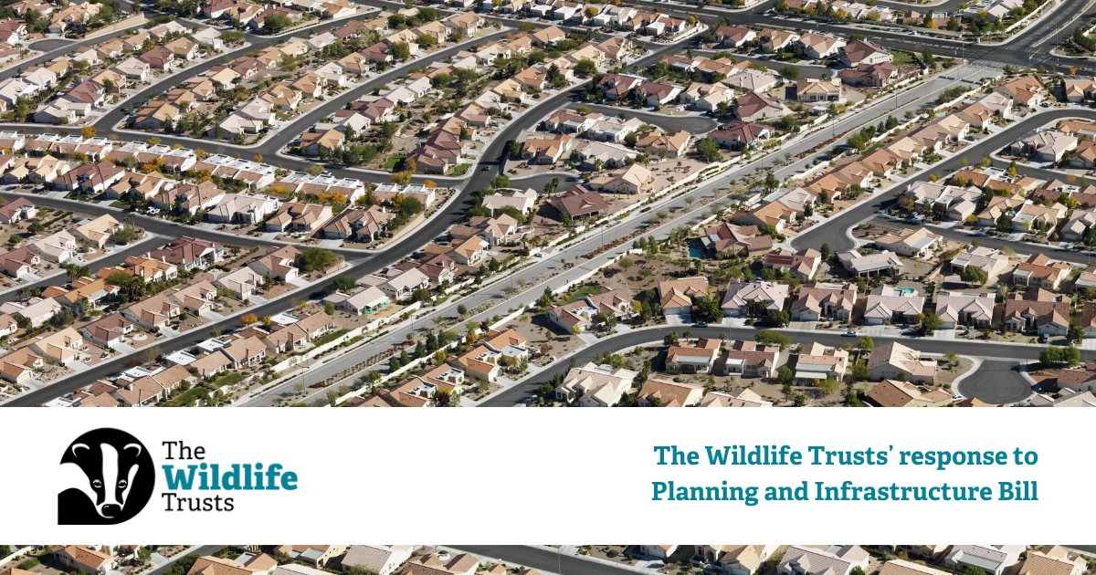 🛑 The Planning Bill threatens England’s most precious nature.

Over 30 leading charities, incl. The Wildlife Trusts', urge Govt to amend it—or risk irreversible harm to #rivers, #woodlands, and #wildlife.

📢 Time for #action, not destruction.

#ProtectNature #PlanningBill