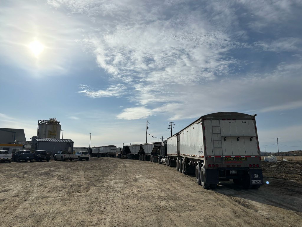 10 truck lineup kind of morning