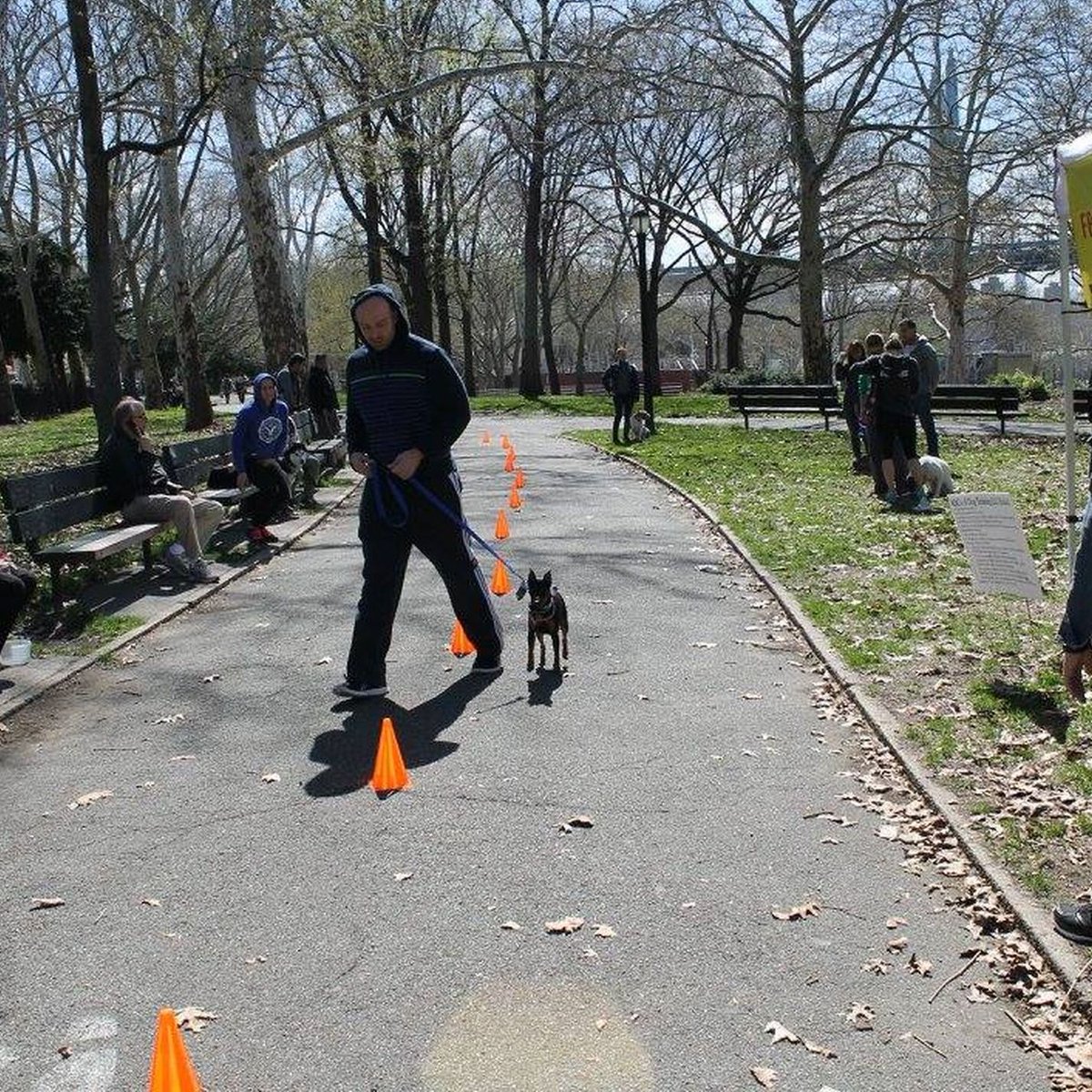 ABCsofDogT's tweet image. Are you struggling with unwanted behaviors? Our dog behavior modification plans target the root cause of the problem, not just the symptoms. Contact us to start transforming your dog&apos;s habits today!
#DogBehaviorModification
dogstrainingqueens.com