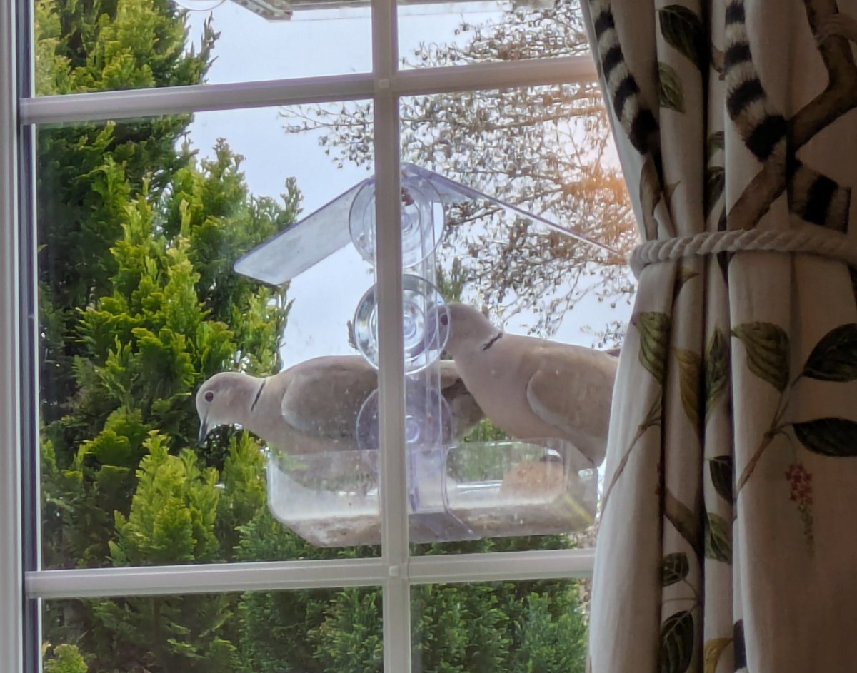 Paul Brook tweet media