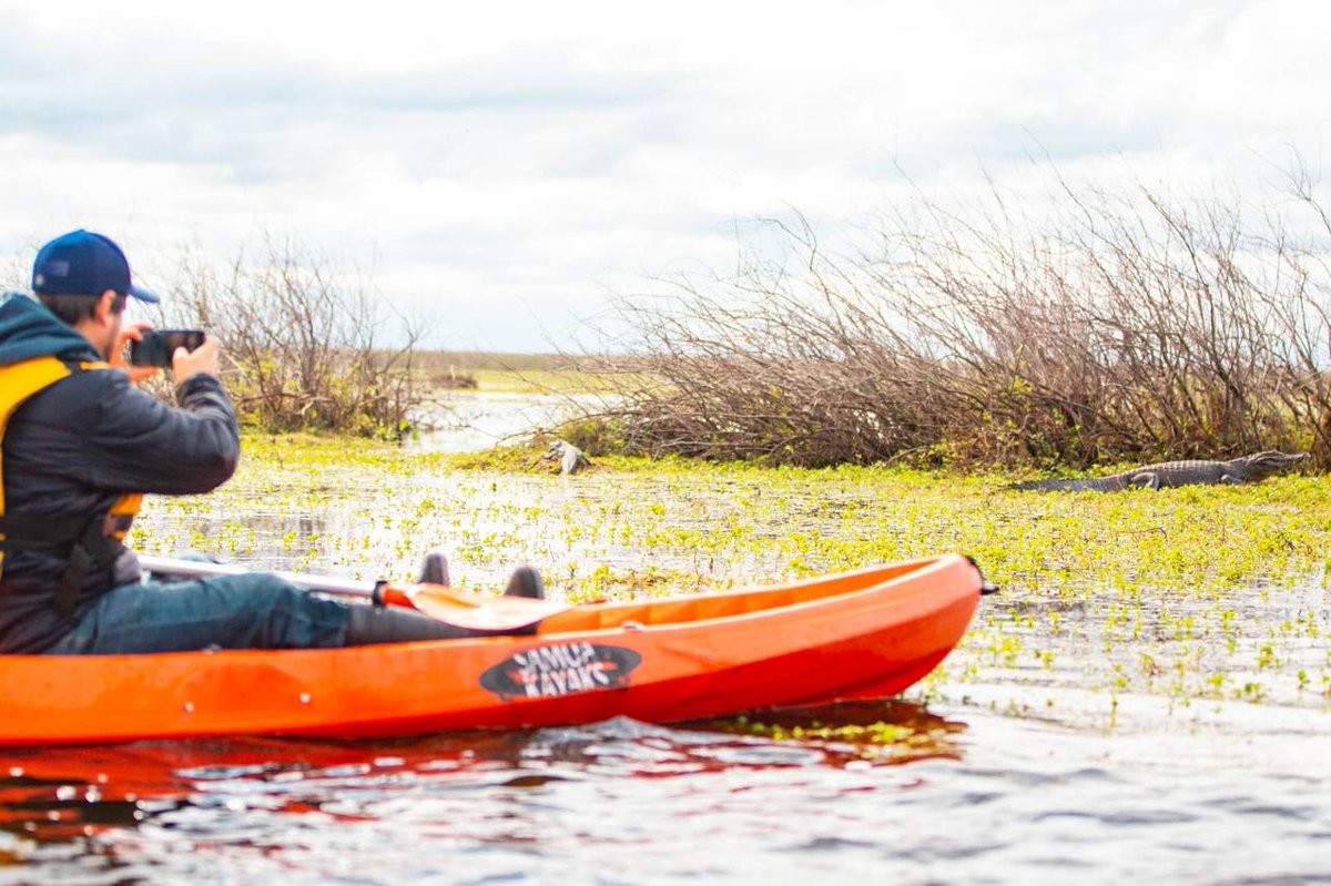 ¡Corrientes está de celebración! 🐆

Hoy festejamos es el 42° aniversario de la creación de la Reserva Provincial #Iberá, un área que vela por la protección de las riquezas naturales que nos caracterizan y que cambió la forma en que los correntinos conciben su flora y fauna.