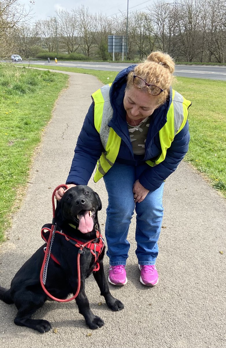Volunteered <a href="/StrayAidDogs/">Stray Aid</a> at Coxhoe, this lovely boy needs a happy forever home, they do fab work!