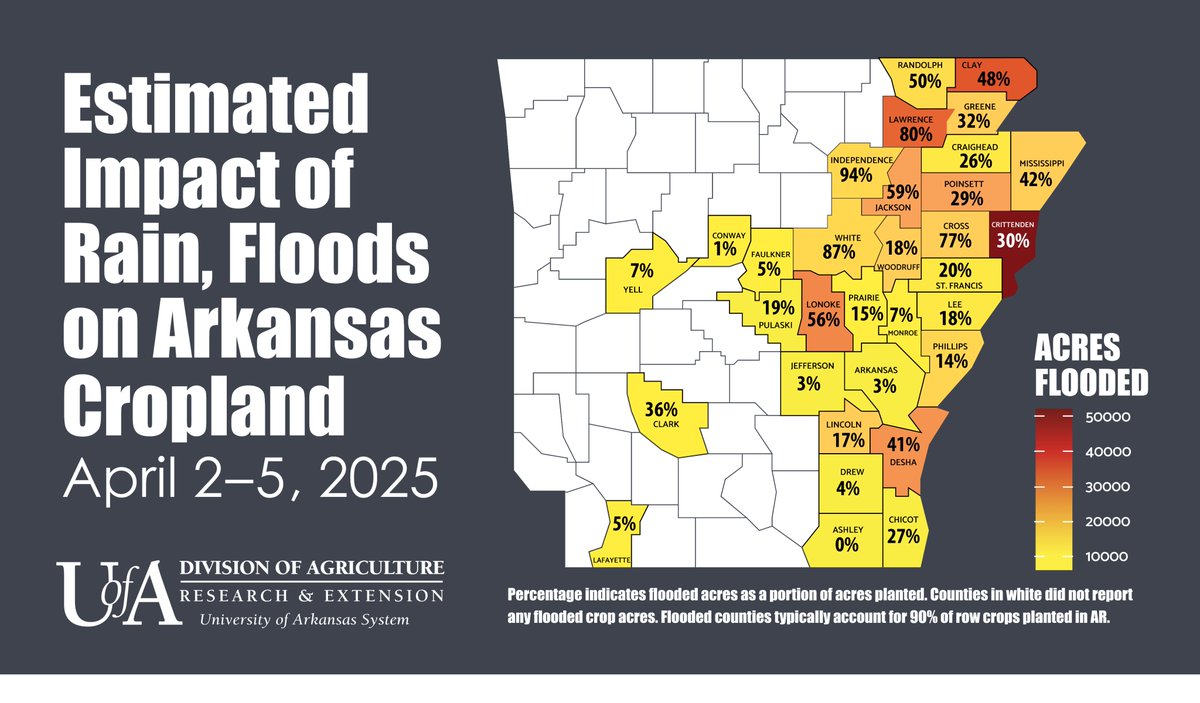UA System Div of Ag (@aginark) on Twitter photo @AgInArk economists and agronomists are estimating crop-related flood damage in #Arkansas to be a āconservativeā $78.9 million. And they warn additional acres may be flooded as water moves downstream.
bit.ly/Flood-Ark-Cropā¦
<a href="/NWSLittleRock/">NWS Little Rock</a> <a href="/uarkaeab/">Uark Agricultural Economics & Agribusiness</a> #arwx #ag @AgInArk economists and agronomists are estimating crop-related flood damage in #Arkansas to be a āconservativeā $78.9 million. And they warn additional acres may be flooded as water moves downstream.
bit.ly/Flood-Ark-Cropā¦
<a href="/NWSLittleRock/">NWS Little Rock</a> <a href="/uarkaeab/">Uark Agricultural Economics & Agribusiness</a> #arwx #ag