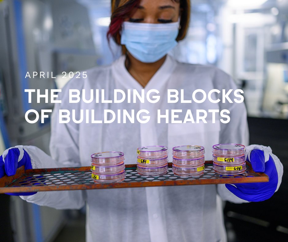 webuildhearts's tweet photo. We have launched a monthly newsletter! April 2025 shines light on:

💙 Heart Family Spotlight: The Nelsons
💙 Donor Highlight: The Bergners &amp; their $75K gala
💙 Research Spotlight: The Co-Op at HeartWorks Study

Read the full update here 👉 https://t.co/EPvNZsAeI9 https://t.co/oKKqZiJvTh