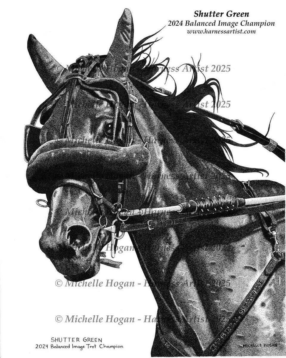 Michelle Hogan tweet media