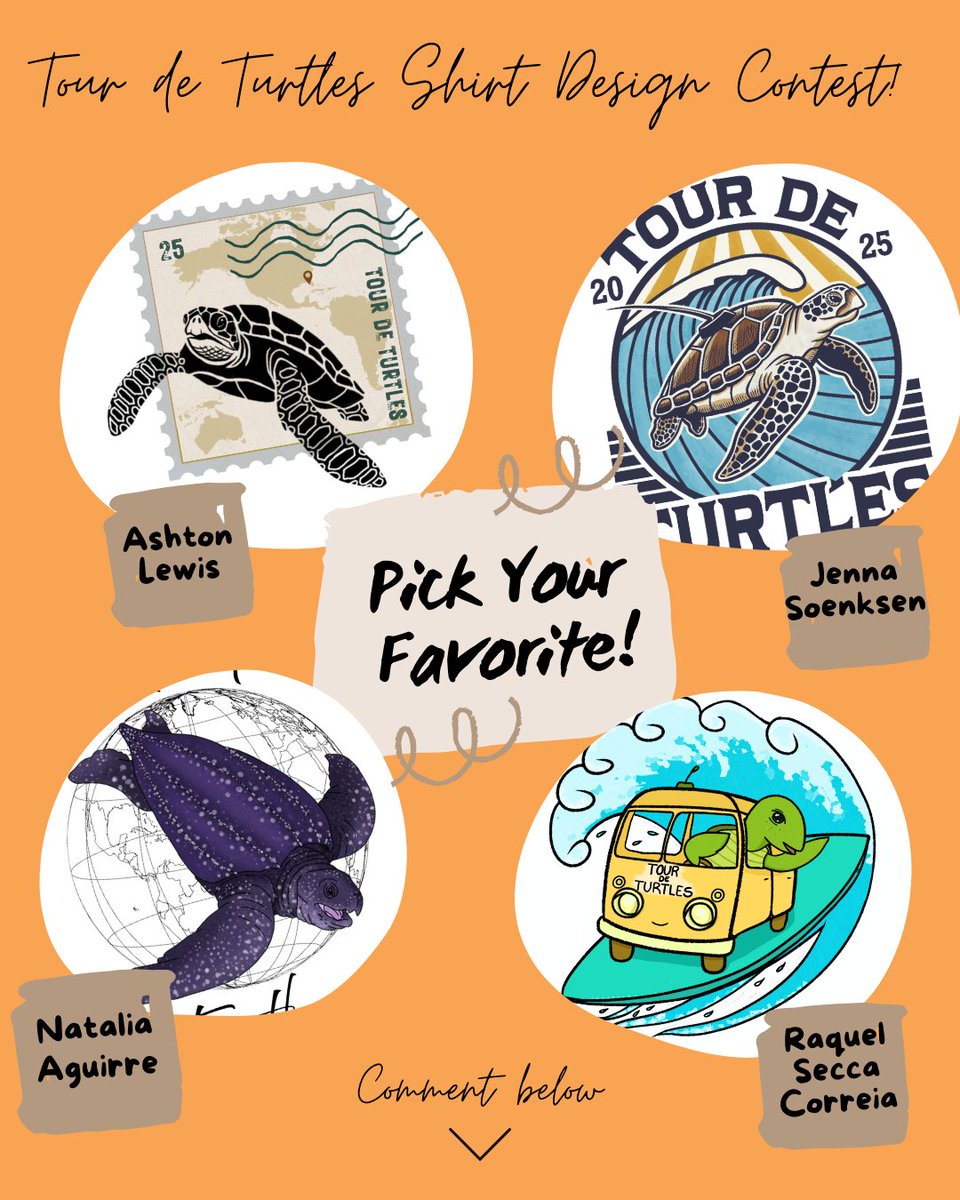 conserveturtles's tweet photo. Thank you to everyone who submitted designs to this year’s Tour de Turtles Shirt Artwork Contest! We received some truly amazing creations! We’ve narrowed it down to our 4 faves and now we need your help. Which design would you like to see on this year’s #tourdeturtles SHIRTS? https://t.co/FkD3prKlDr