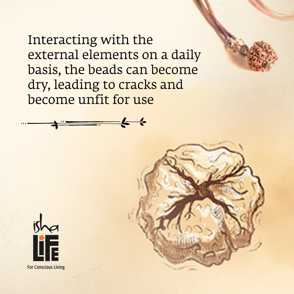 Ishalifeindia's tweet photo. A guide to conditioning your Rudraksha 

#ishalife #forconsciousliving #yogicwisdom #YogicLifestyle #rudraksha #consecrated #yogicliving #ishafoundation https://t.co/qlq9tjSc0x