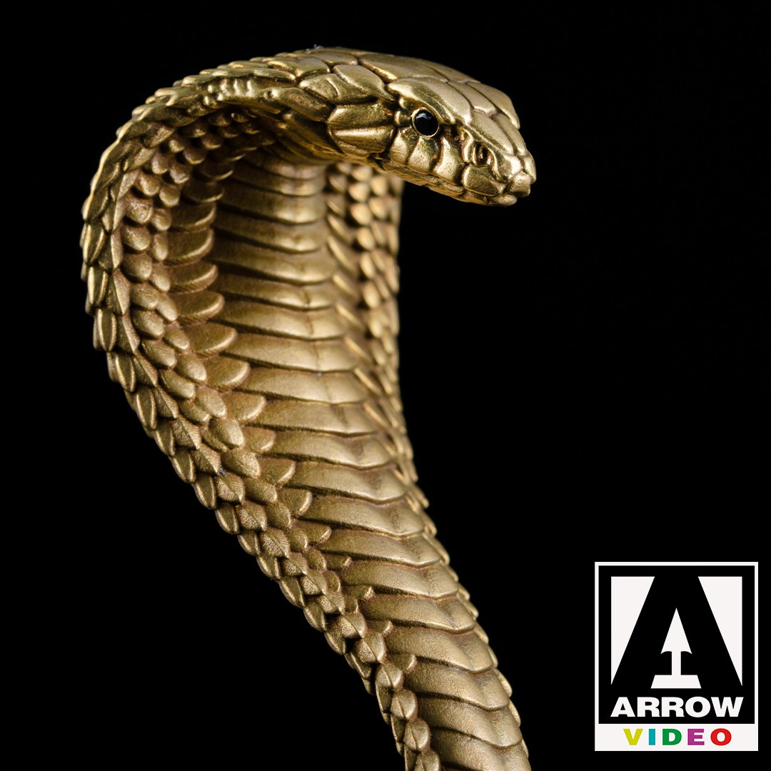 Arrow Video tweet media