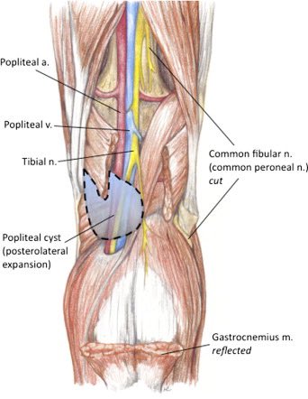 Marcos A. P. Borges, MD 🇧🇷 tweet media