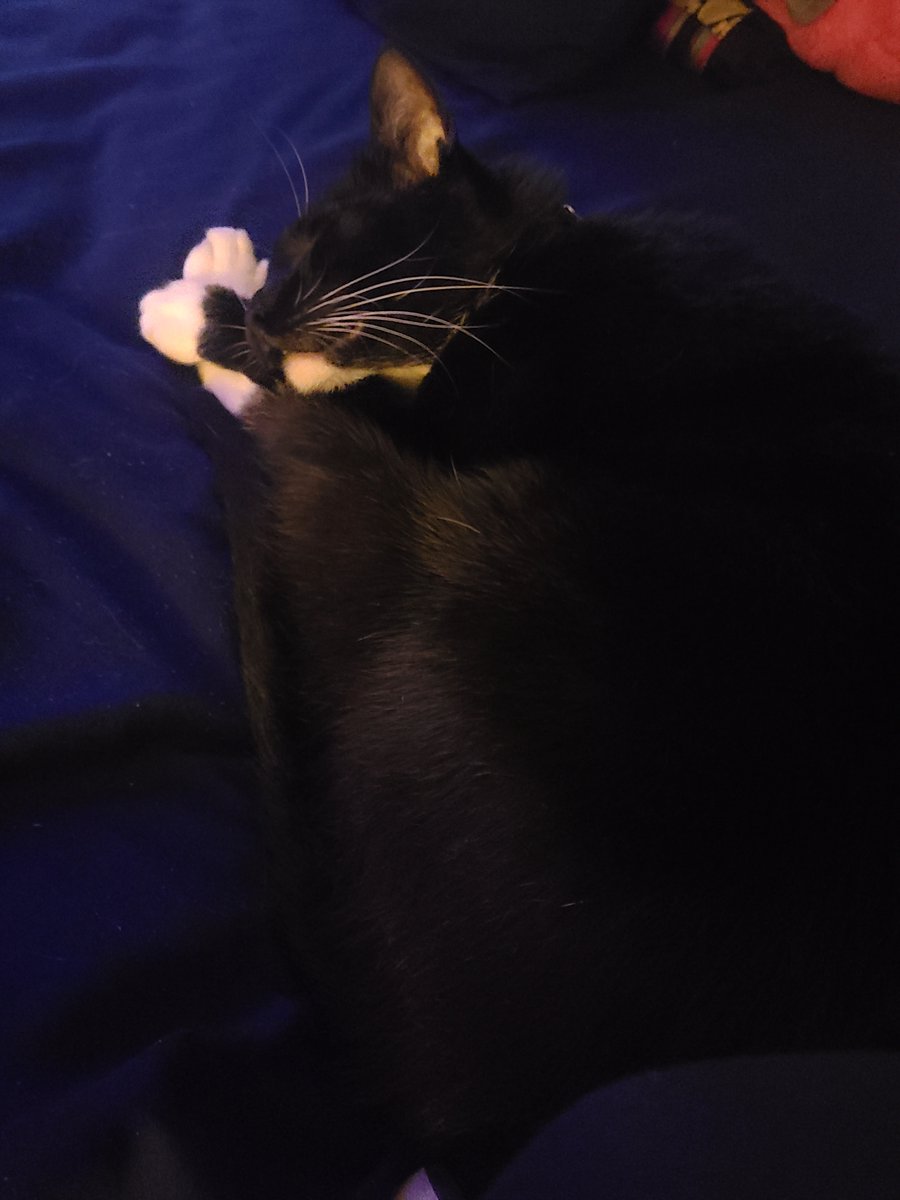 JLane ☭ tweet media