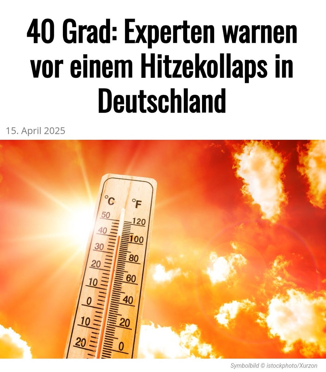 Der Mutbürger 🇩🇪🕊 tweet media
