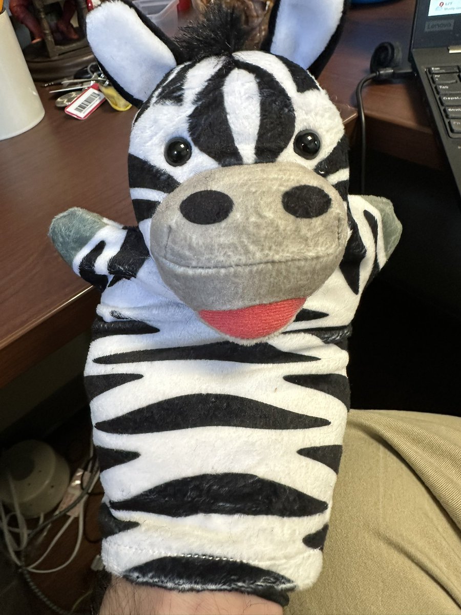 Meet my new precepting puppet, Zen.  He’s good at telling the students and residents to stop chasing Zebras.
