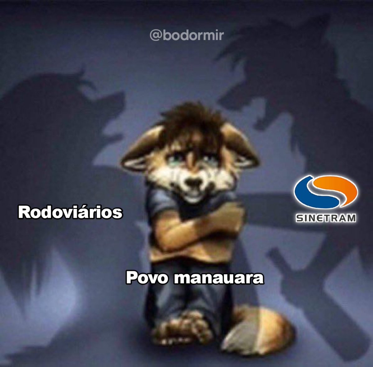 as vezes, dois kikães is janta🛌💤 (@bodormir) on Twitter photo 