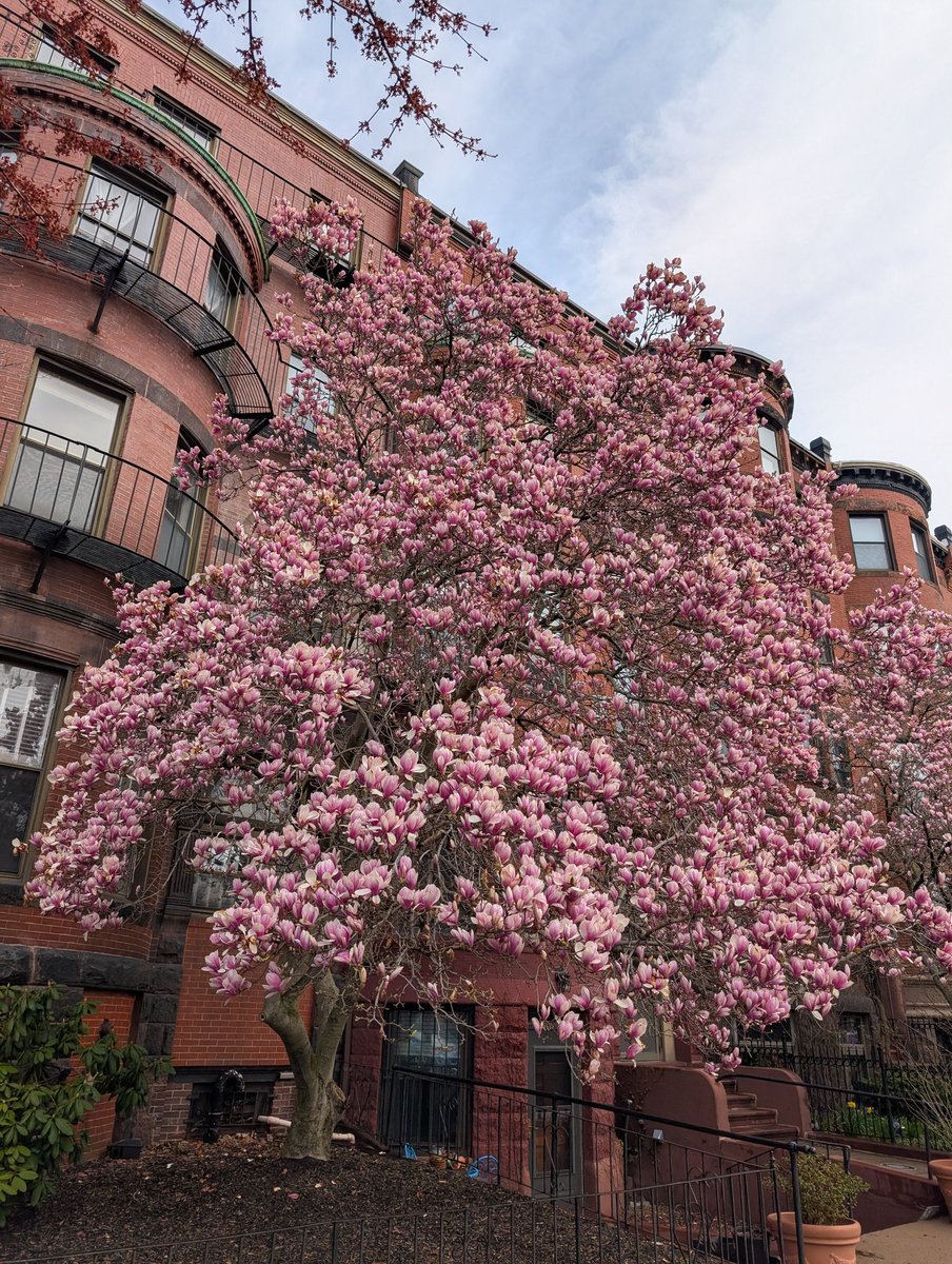 #Boston #Spring <a href="/ericfisher/">Eric Fisher</a>