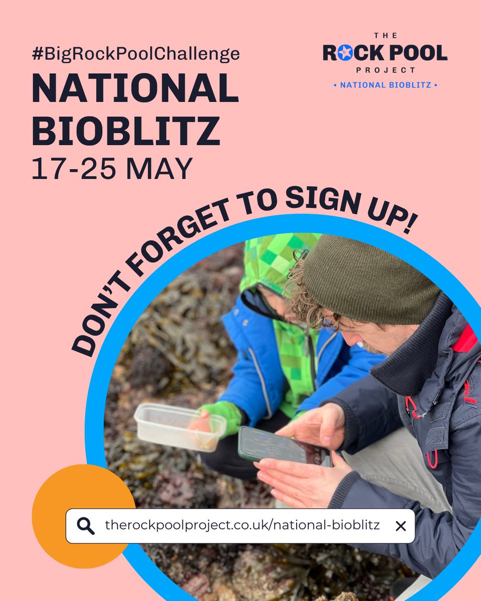 The Rock Pool Project (@rockpoolproject) on Twitter photo Have you registered with #TheRockPoolProject? 👉 therockpoolproject.co.uk/national-biobl…
#BigRockPoolChallenge #NationalBioBlitz #InvasiveSpeciesWeek #INNSweek #CitizenScience #OceanExploration #MarineLife <a href="/ScottishPower/">ScottishPower</a> <a href="/HeritageFundUK/">The National Lottery Heritage Fund</a> <a href="/HeritageFundL_S/">The National Lottery Heritage Fund London & South</a> <a href="/thembauk/">MBA - Marine Biological Association</a> <a href="/InvasiveSp/">Invasive Species Week</a> Have you registered with #TheRockPoolProject? 👉 therockpoolproject.co.uk/national-biobl…
#BigRockPoolChallenge #NationalBioBlitz #InvasiveSpeciesWeek #INNSweek #CitizenScience #OceanExploration #MarineLife <a href="/ScottishPower/">ScottishPower</a> <a href="/HeritageFundUK/">The National Lottery Heritage Fund</a> <a href="/HeritageFundL_S/">The National Lottery Heritage Fund London & South</a> <a href="/thembauk/">MBA - Marine Biological Association</a> <a href="/InvasiveSp/">Invasive Species Week</a>