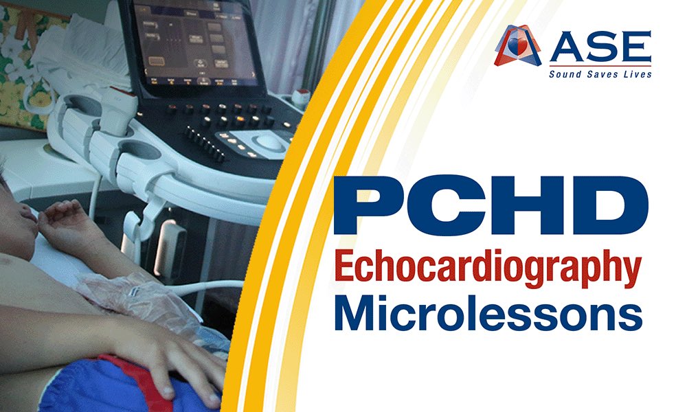 Our #PCHDMicrolessons is an online course,  containing lectures, animated videos, questions and case discussions on 10 original PCHD topics!🫀

Module 1: bit.ly/4a4GkD9
Module 2: bit.ly/3xpcPOk
Module 3: bit.ly/3Oi7VY3
Module 4: bit.ly/3DPmQav