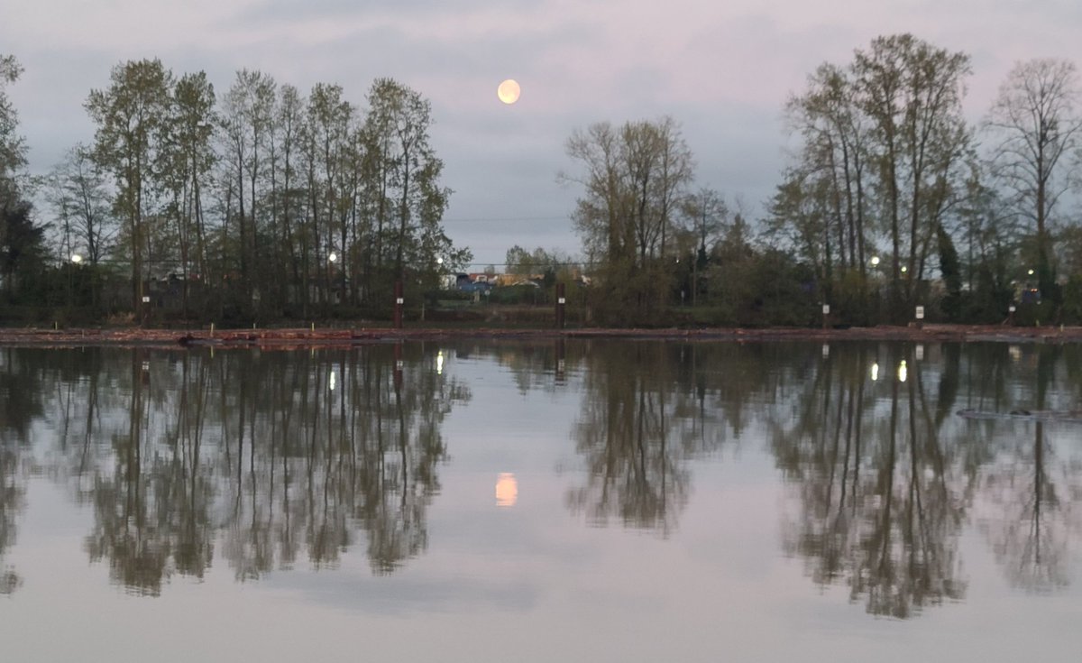 Michelle Valancius tweet media