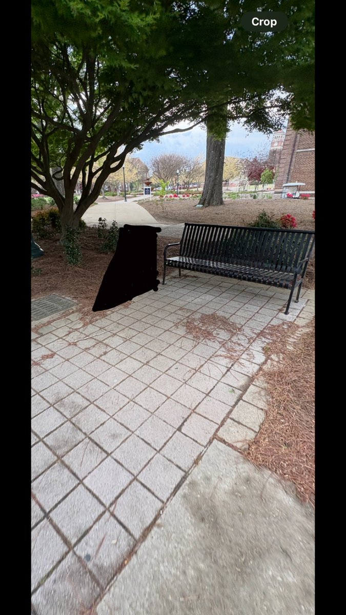 Petition for Ole Miss to put in a sidewalk right here