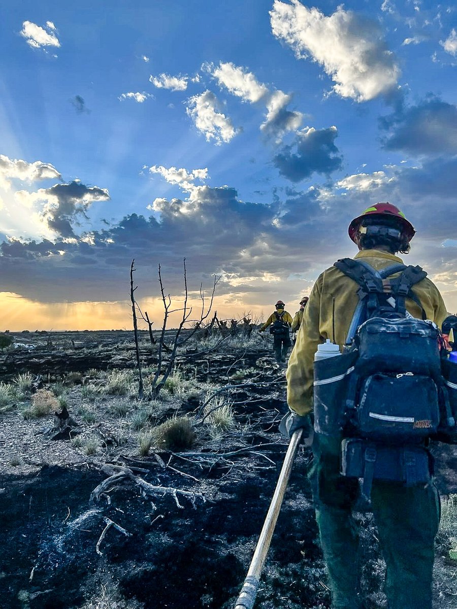 Grayback Forestry tweet media