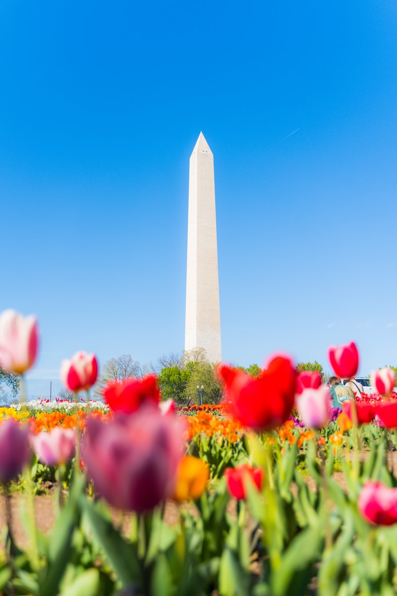 Visit Washington, DC (@washingtondc) on Twitter photo Our weekend picks for April 18-20 in #WashingtonDC! ๐
๐ญ 'Annie' final weekend at <a href="/nattheatredc/">The National Theatre DC</a> (April 18-20)
๐ท Uncorked: DC wine festival at <a href="/NationalsPark/">Nationals Park</a> (April 19)
๐ Catch a <a href="/XFLDefenders/">D.C. Defenders</a> game at <a href="/AudiField/">Audi Field</a> (April 20)
And more! #Only1DC
๐: bit.ly/34afrAj Our weekend picks for April 18-20 in #WashingtonDC! ๐
๐ญ 'Annie' final weekend at <a href="/nattheatredc/">The National Theatre DC</a> (April 18-20)
๐ท Uncorked: DC wine festival at <a href="/NationalsPark/">Nationals Park</a> (April 19)
๐ Catch a <a href="/XFLDefenders/">D.C. Defenders</a> game at <a href="/AudiField/">Audi Field</a> (April 20)
And more! #Only1DC
๐: bit.ly/34afrAj