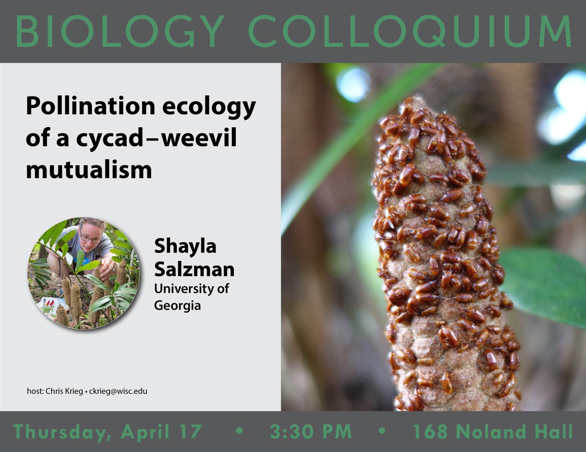 UW-Madison Biology Major (@uwbiomajor) on Twitter photo Hey #BioBadgers! This Thursday <a href="/UWiBio/">UW-Madison iBio</a> will have Asst. Prof. Shayla Salzman (<a href="/UGA_CollegeofAg/">UGA Agricultural & Environmental Sciences</a>) speaking at the Biology Colloquium! We hope to see you at 3:30PM in 168 Noland Hall for:
"Pollination ecology of a cycad-weevil mutualism" Hey #BioBadgers! This Thursday <a href="/UWiBio/">UW-Madison iBio</a> will have Asst. Prof. Shayla Salzman (<a href="/UGA_CollegeofAg/">UGA Agricultural & Environmental Sciences</a>) speaking at the Biology Colloquium! We hope to see you at 3:30PM in 168 Noland Hall for:
"Pollination ecology of a cycad-weevil mutualism"
