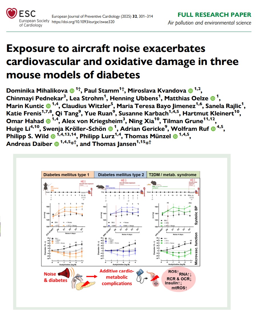 EJPC Editor-in-Chief (@ejpceic) on Twitter photo Listen: Noise exposure in diabetic mice causes further impairment of insulin signalling, increased BP, and damage of small and large blood vessels as well as oxidative stress in the aorta, brain, and heart. academic.oup.com/eurjpc/article…
<a href="/escardio/">European Society of Cardiology</a> <a href="/AboyansV/">Victor Aboyans</a> <a href="/SilCastelletti/">Silvia Castelletti</a> Listen: Noise exposure in diabetic mice causes further impairment of insulin signalling, increased BP, and damage of small and large blood vessels as well as oxidative stress in the aorta, brain, and heart. academic.oup.com/eurjpc/article…
<a href="/escardio/">European Society of Cardiology</a> <a href="/AboyansV/">Victor Aboyans</a> <a href="/SilCastelletti/">Silvia Castelletti</a>