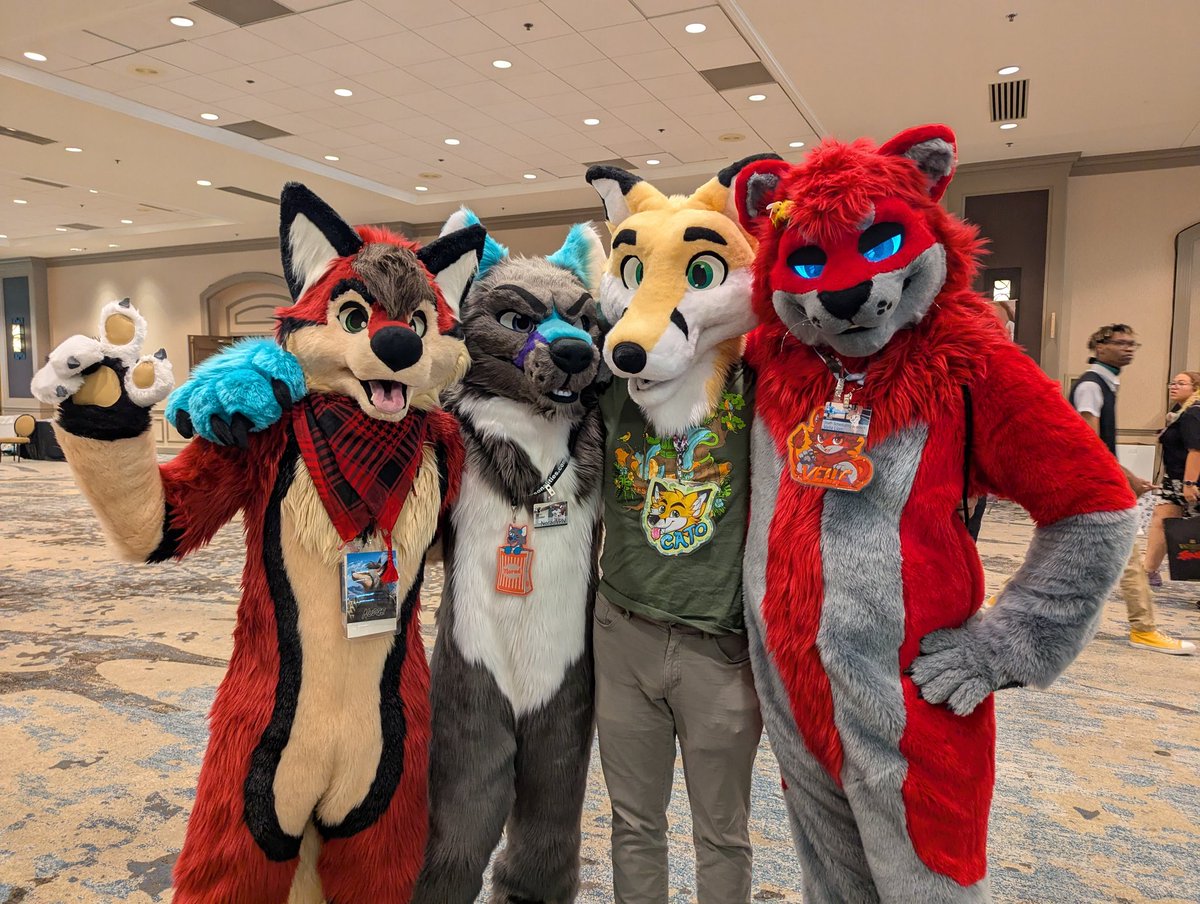 CatoTheFox's tweet photo. Lots of new furiends at  @FurryFiesta this year. Tag them if you know them https://t.co/LzPkDHUFpS