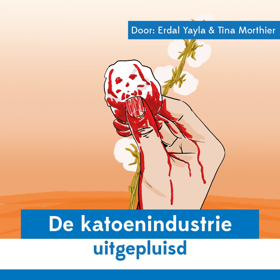 Al sinds de Amerikaanse Burgeroorlog heeft katoenteelt een slechte reputatie. Ook vandaag nog zijn de werkomstandigheden in deze sector verre van optimaal, en de milieueffecten zijn rampzalig. Zijn er alternatieven voor dit witte goud?

Lees meer via: schamper.ugent.be/editie/655/art…