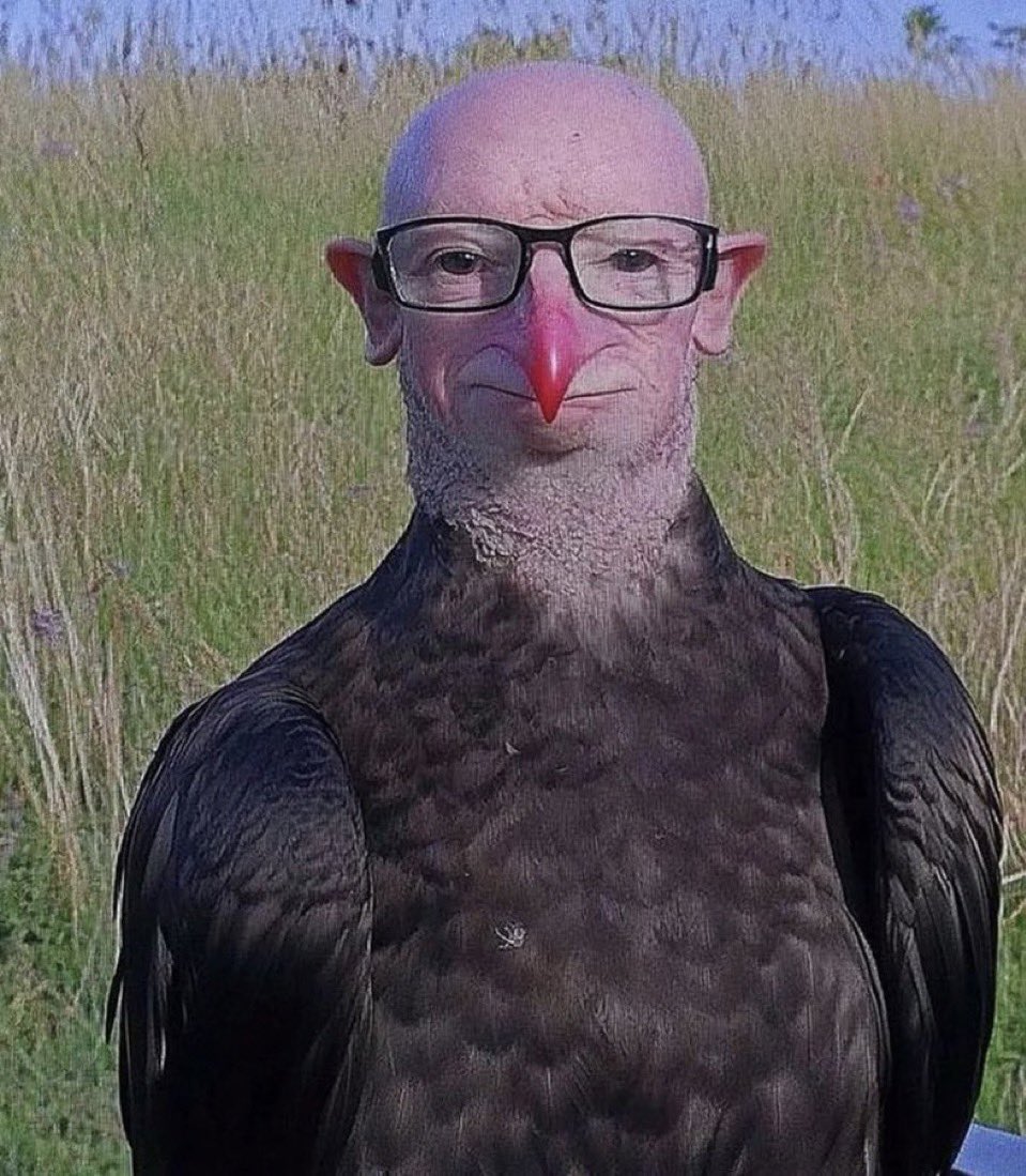 huugoogalan's tweet photo. @jhaycortez Va Jhayco, ¿qué opinas de mi mascota? https://t.co/ytbVT6Fh6i