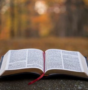 2025 Spring Pastors Conferences dlvr.it/TK9f6j