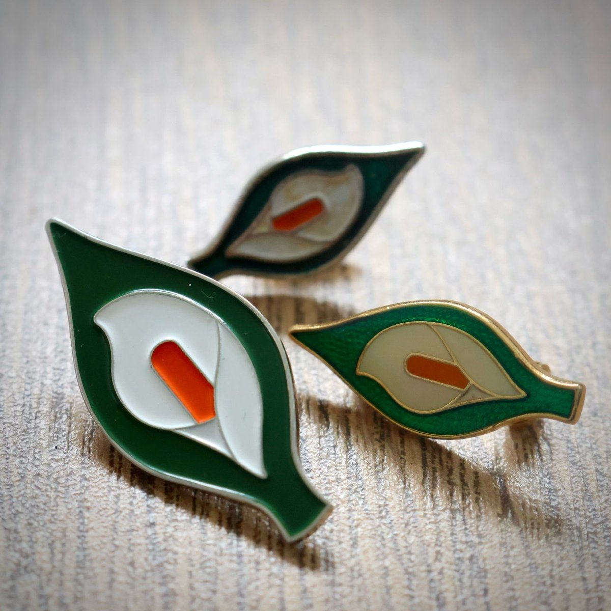 Information on this years Easter Sunday Commemorations 👇

BÍgí Linn as we remember those brave men and women who gave everything for the cause of Irish freedom.

Honour Ireland’s Patriot Dead Wear your Easter Lily with pride 🇮🇪