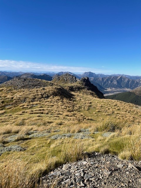 Even halfway around the world, the call to adventure never lets up.
New Zealand’s peaks remind us: greatness isn’t just built in factories—it’s forged in bold places and bigger dreams.
Wherever you are, climb your own mountain this week.
#TuesdayViews #SeekAdventure #RedOxx