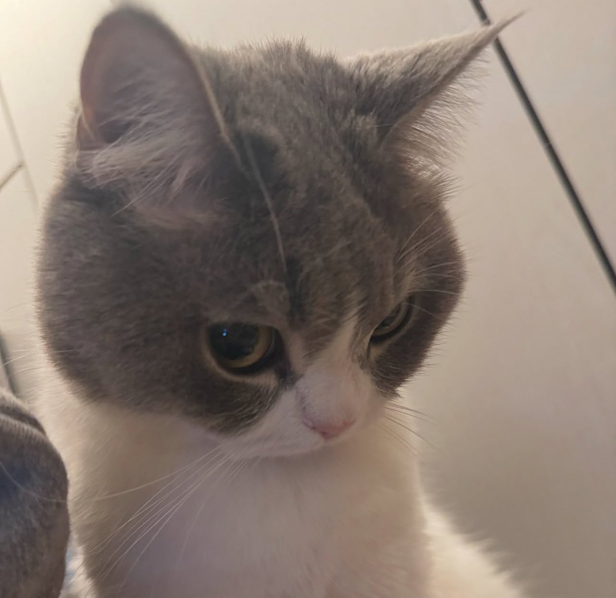 -Bişe mi oldu
+yoo olmadı